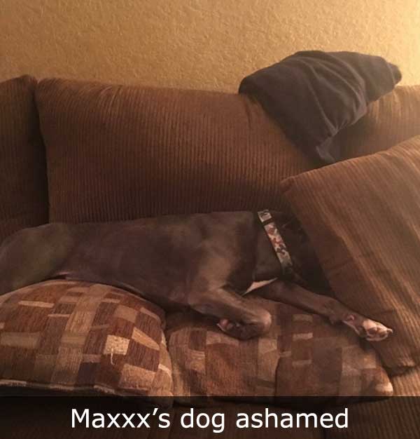 Maxxx's Dog Ashamed
