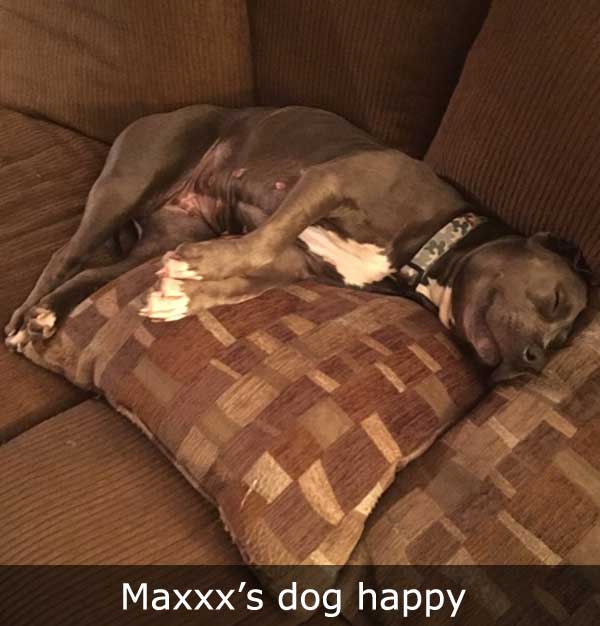 Maxxx's Dog Happy
