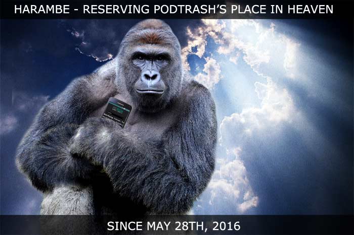 Harambe - Saving a place in heaven for Podtrash